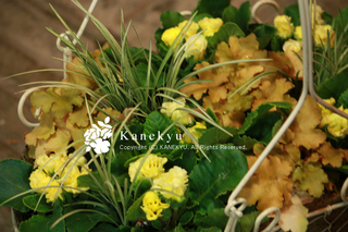 20101121c.jpg