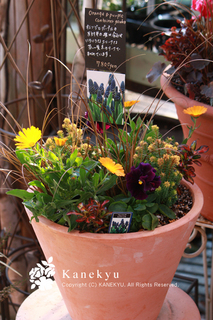 20101206f.jpg
