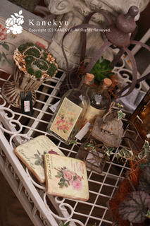20101207r.jpg