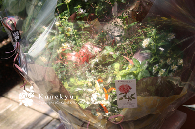 20090814f.jpg