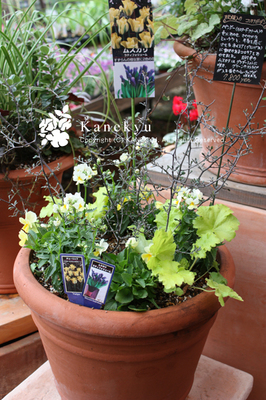 20091024d-thumbnail2-1.jpg