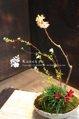 20100314g.jpg