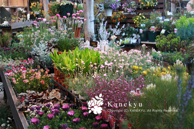 20100317l.jpg