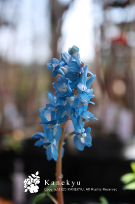 20100327o.jpg