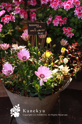 20100327t.jpg