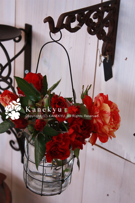 20100404f.jpg