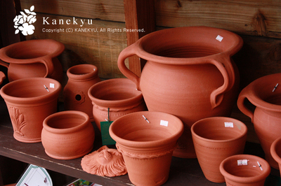 20100523e.jpg