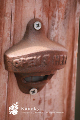 20100710n.jpg