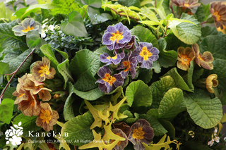 20110103g.jpg