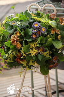 20110103i.jpg