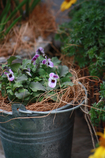 20110223aa.jpg