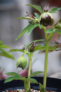 20110223aaa.jpg
