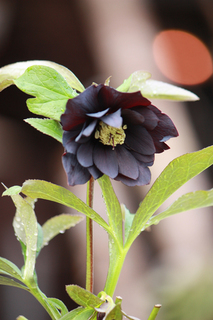 20110224cccccc.jpg