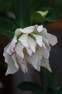 20110228eeee.jpg