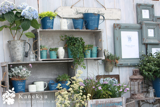 20110521b.jpg