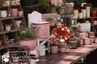 20110525d.jpg