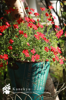 20110713a.jpg