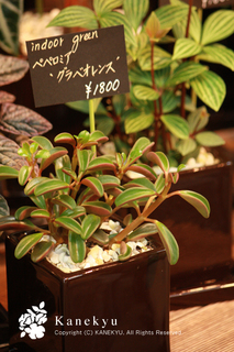 20110722b.jpg