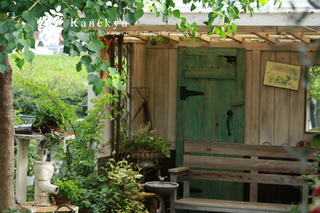 20110907b.jpg