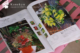 20110909f.jpg