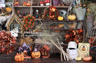 20110913f.jpg
