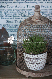20110914e.jpg