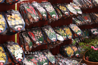 20110922h.jpg