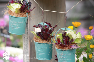 20111206f.jpg