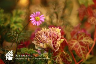 20111218f.jpg