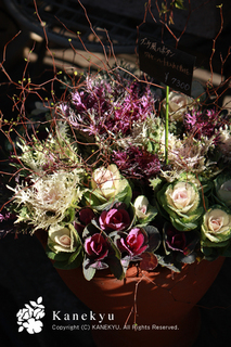 20111220c.jpg