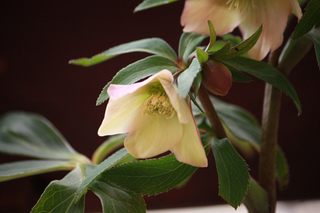 20120106s.jpg