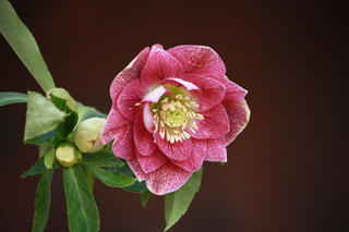 20120220b.jpg