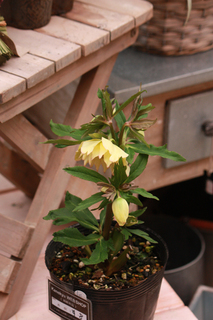 20120223iii.jpg