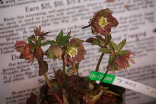 20120223j.jpg