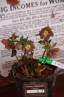 20120223jj.jpg