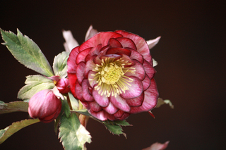 20120224b.jpg
