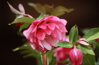 20120224gg.jpg