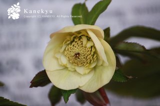 20120225aa.jpg
