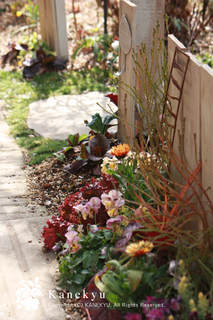 20120301c.jpg
