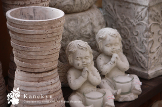 20120306c.jpg