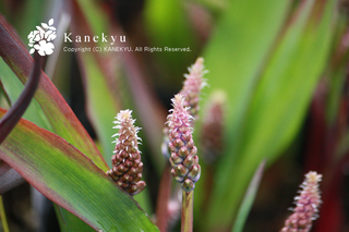 20120310a.jpg