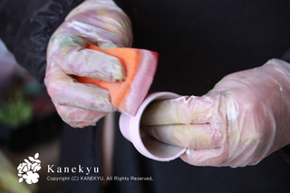 20120313a.jpg