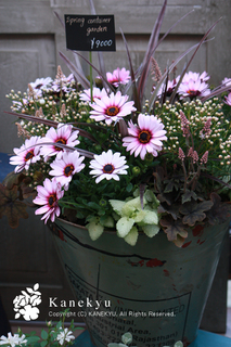 20120327b.jpg