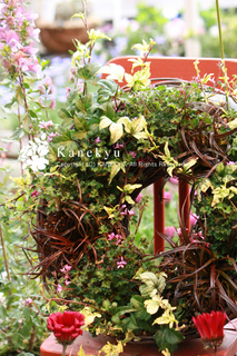 20120413b.jpg