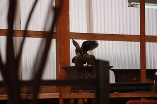 20120414i.jpg