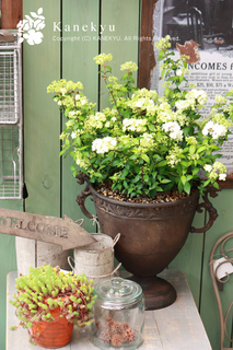 20120422a.jpg