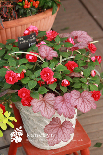 20120628b.jpg