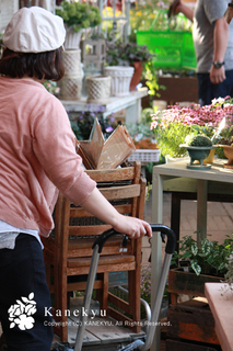 20120708c.jpg