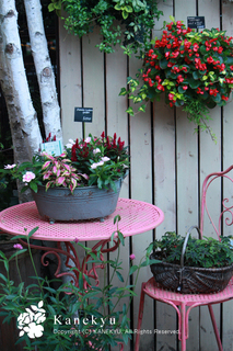 20120710a.jpg