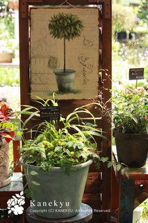 20120724a.jpg